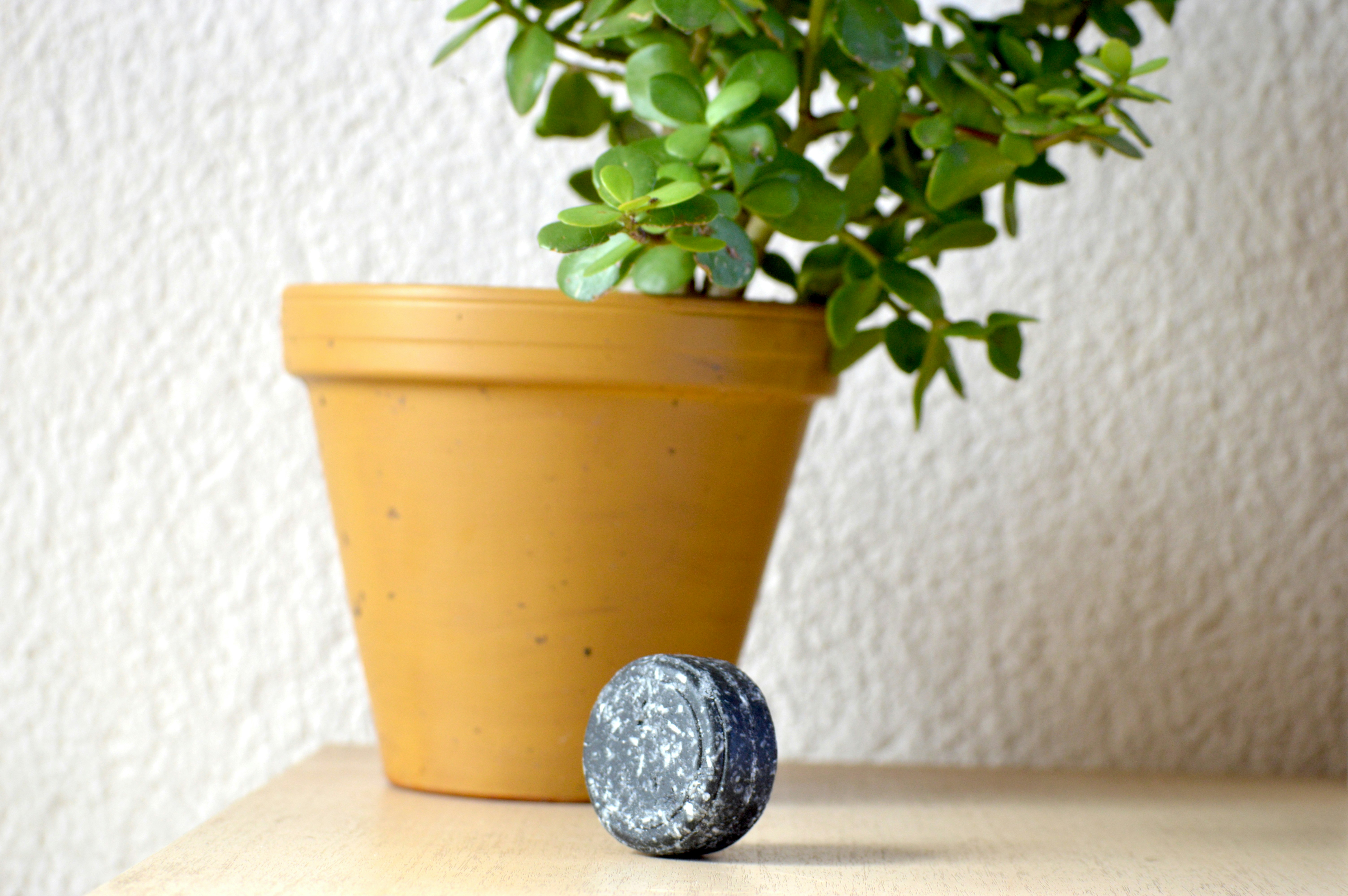 Organic Bathing Bars